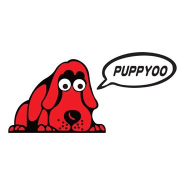 Migliori scope elettriche puppyoo recensioni e consigli for Scopa a vapore hotpoint recensioni